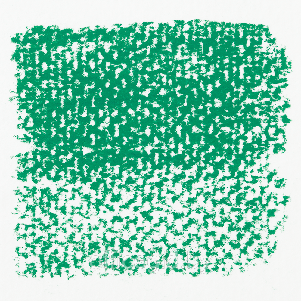 Пастель мягкая "Rembrandt", 619.5 зеленый темный прочный - фото 2 - id-p187161716