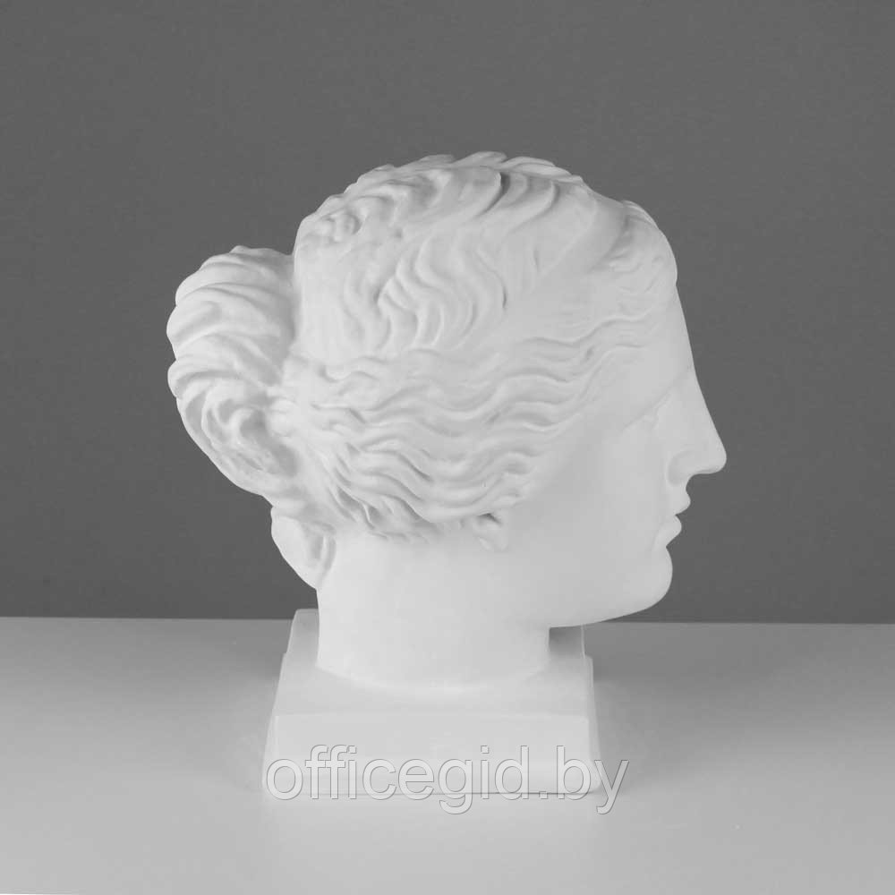 Гипсовая модель "Голова Венеры Милосской" - фото 2 - id-p180058397