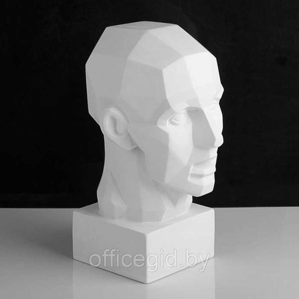 Гипсовая модель "Обрубовка головы по Гудону" - фото 1 - id-p180058401