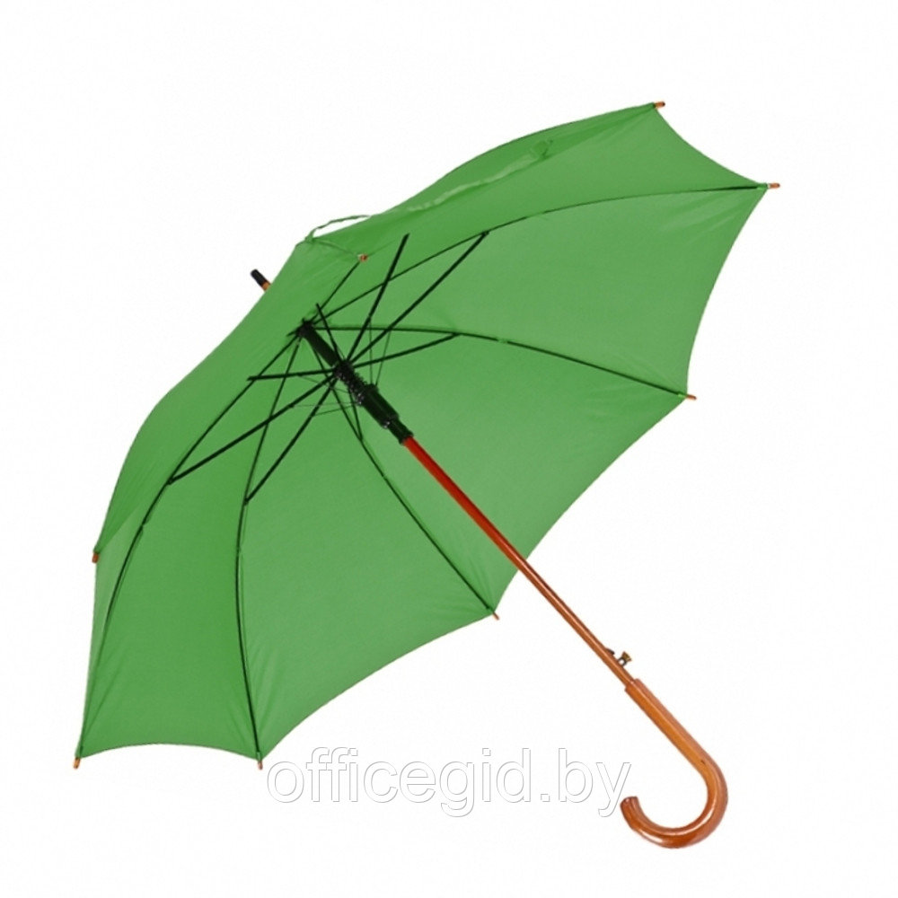 Зонт-трость "Nancy", 105 см, зеленый - фото 1 - id-p187027168