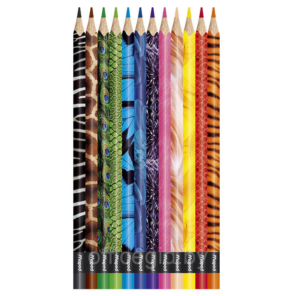 Цветные карандаши "Color' Peps Animal", 12 цветов - фото 2 - id-p180057620