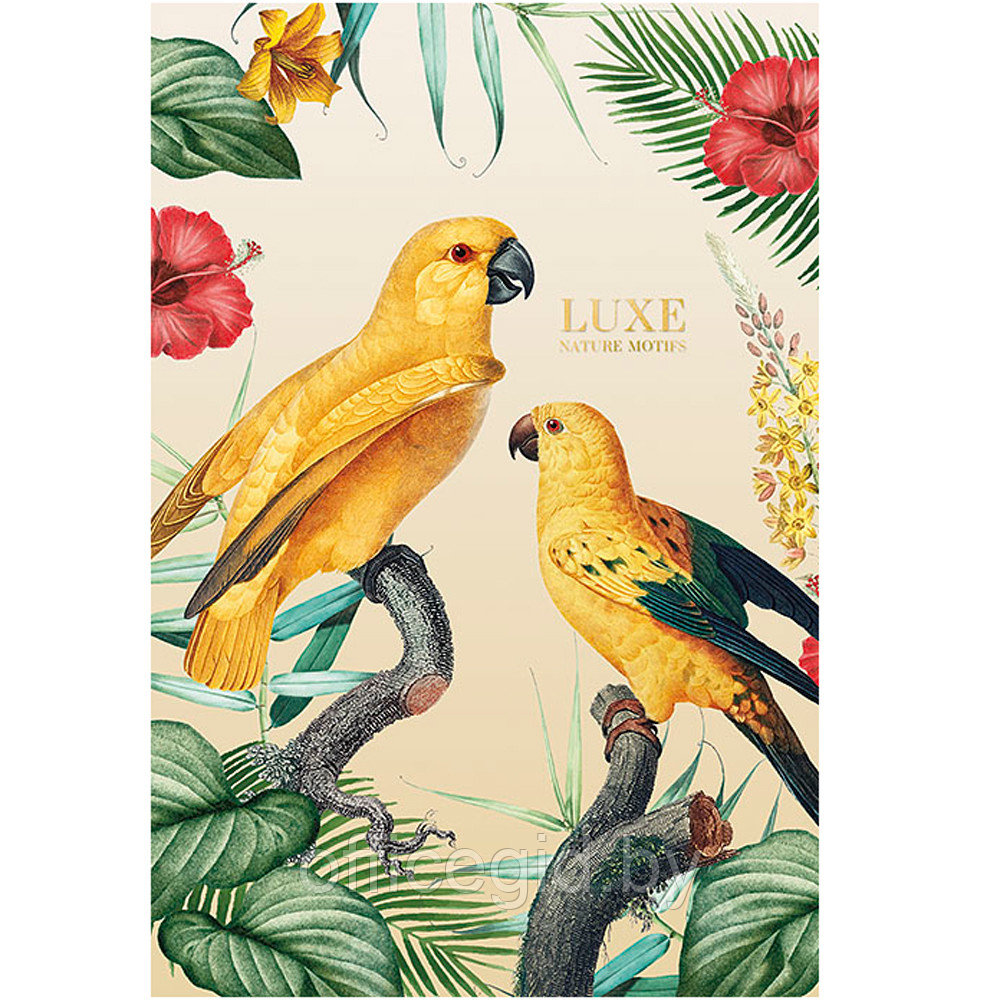 Блокнот "Luxe nature motives", B5, 80 листов, линейка, ассорти