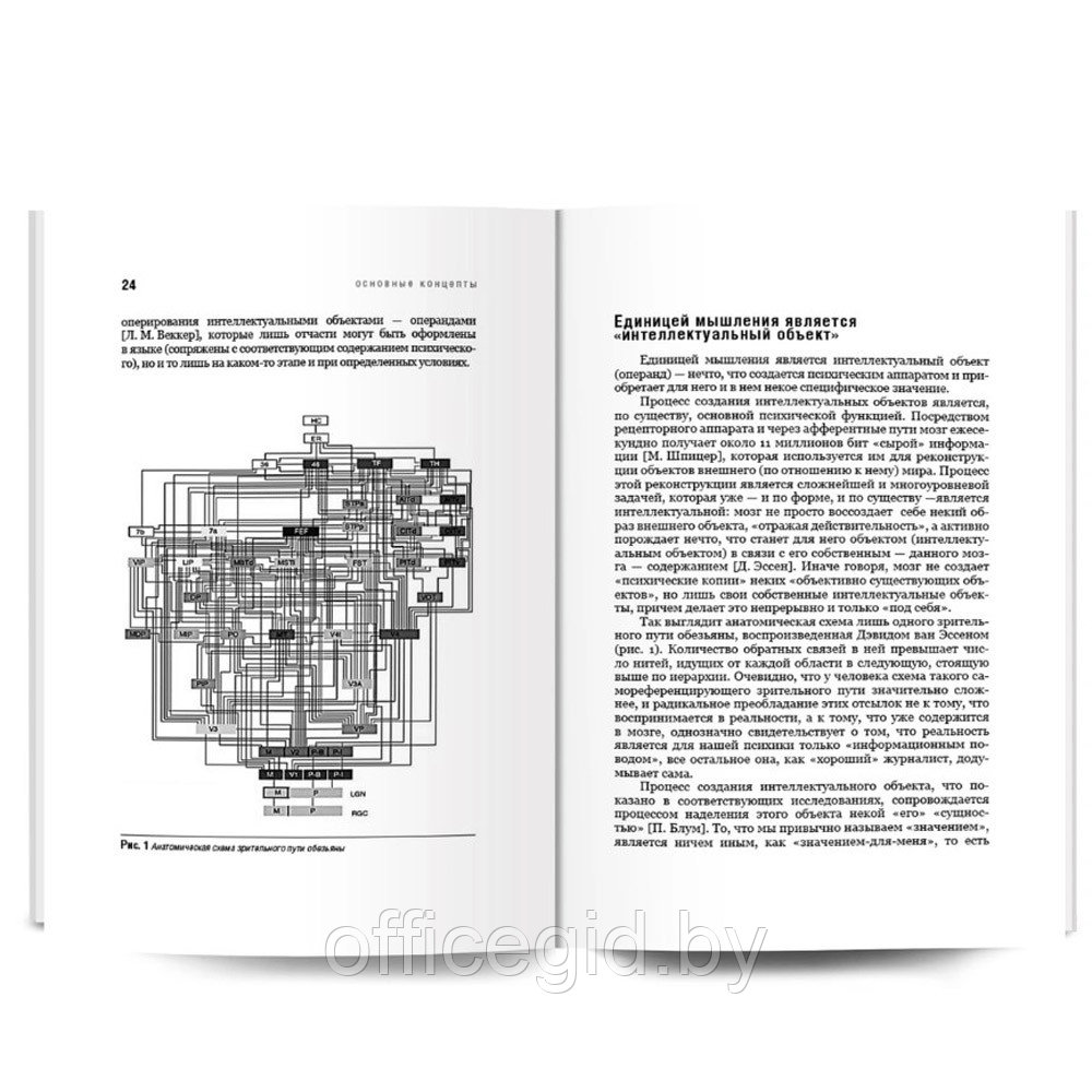 Книга "Мышление. Системное исследование", Андрей Курпатов - фото 3 - id-p180058051
