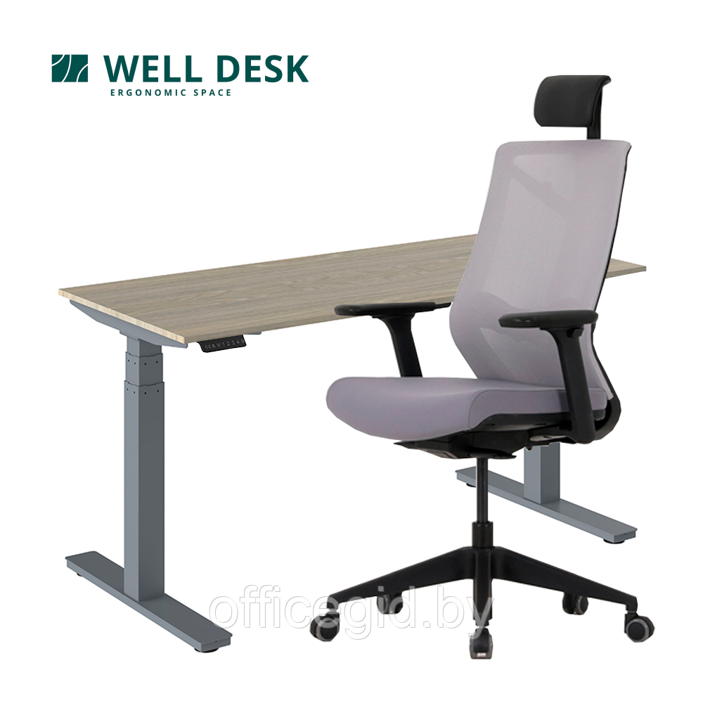 Комплект мебели "Welldesk": cтол двухмоторный, серый, столешница сосна натуральная + кресло "Nature ll"