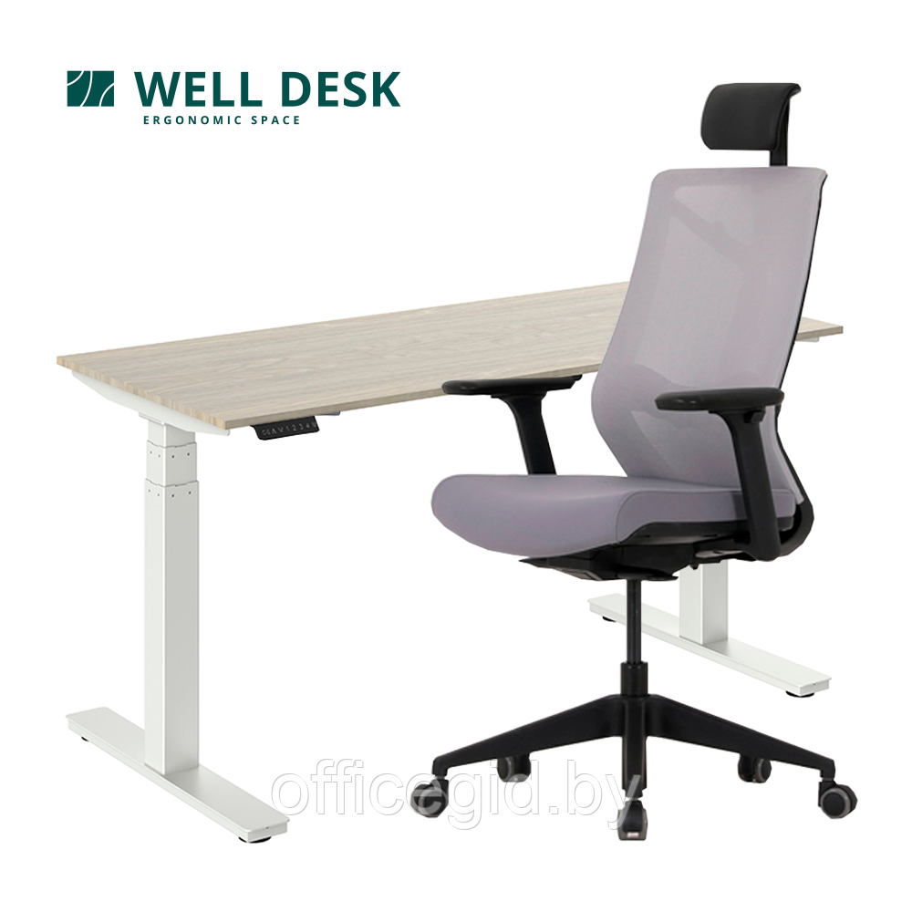Комплект мебели "Welldesk": cтол двухмоторный, белый, столешница сосна натуральная + кресло "Nature ll" - фото 1 - id-p180055291