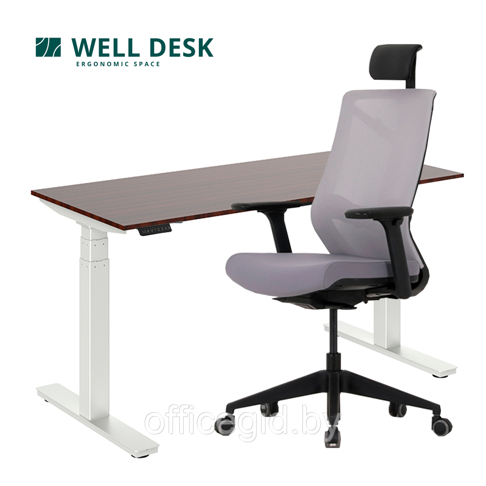 Комплект мебели "Welldesk": cтол двухмоторный, белый, столешница дуб стирлинг + кресло "Nature ll" - фото 1 - id-p180055290