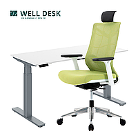 Комплект мебели "Welldesk": cтол двухмоторный, серый, столешница пепел + кресло "Nature ll"