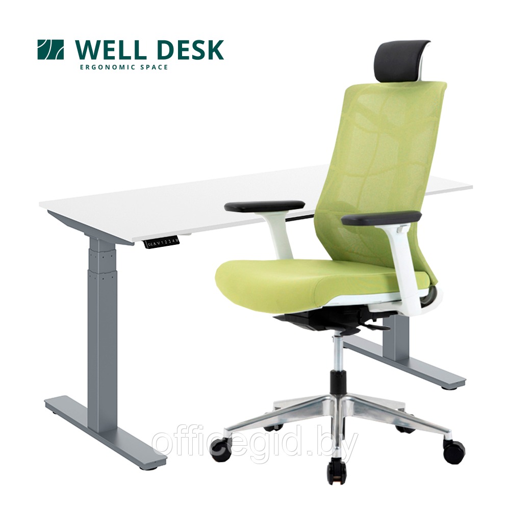 Комплект мебели "Welldesk": cтол двухмоторный, серый, столешница пепел + кресло "Nature ll" - фото 1 - id-p180055299