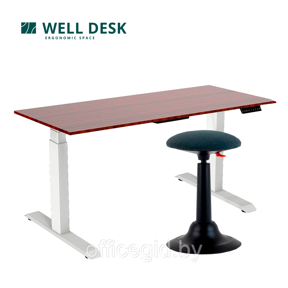 Комплект мебели "Welldesk": cтол двухмоторный Bluetooth, белый, столешница дуб стирлинг + стул для активного - фото 1 - id-p180055293