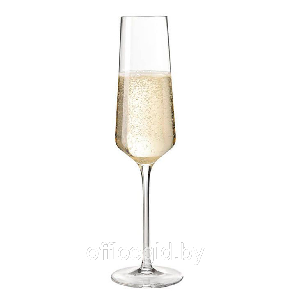 Бокал стеклянный для шампанского «Puccini», 280 мл, 6 шт/упак - фото 2 - id-p180649035