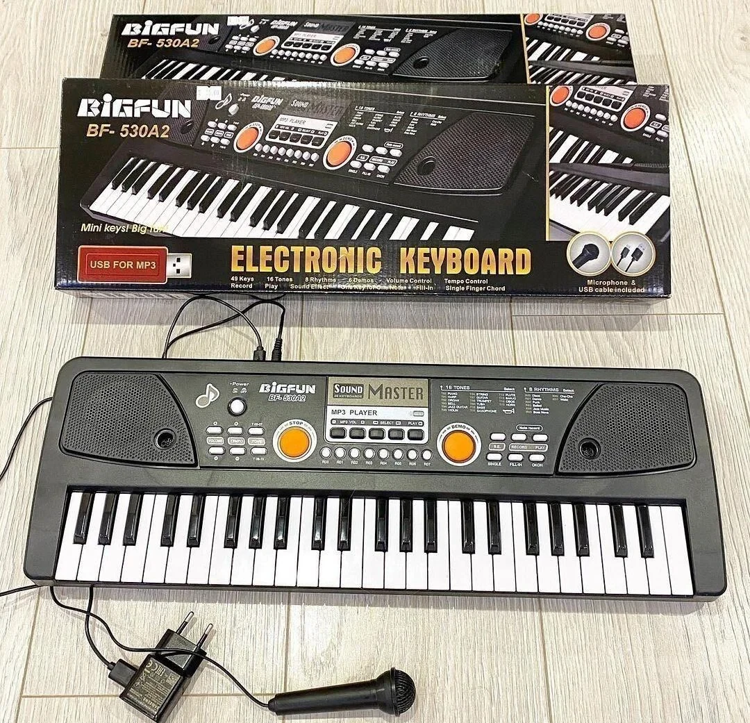 Детский синтезатор пианино 49 клавиш 530A2 с USB, от сети и от батареек - фото 1 - id-p187803898