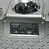 Портативная караоке система SDRD SD-315 / перезаряжаемая колонка с 2 беспроводными микрофонами, фото 5