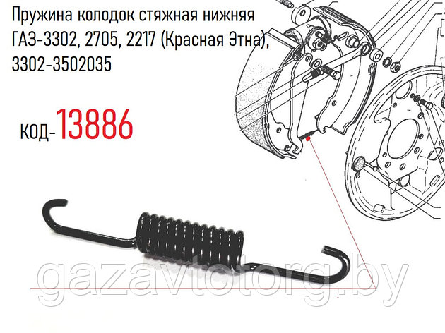 Пружина колодок стяжная нижняя ГАЗ-3302, 2705, 2217, Газель Некст (Красная Этна), 3302-3502035, фото 2