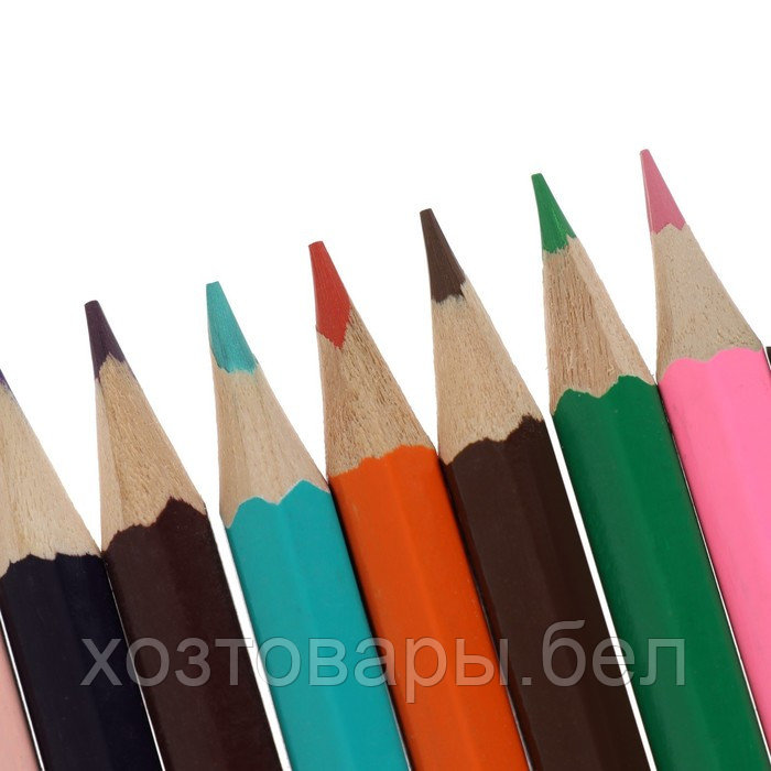 Карандаши 24 цвета в картонной коробке Calligrata, деревянные, шестигранные - фото 3 - id-p187870920