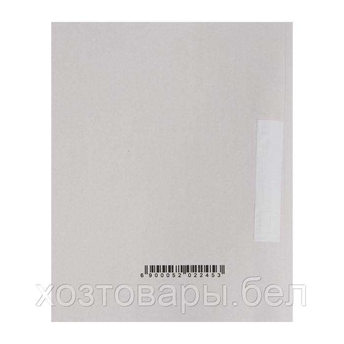 Скоросшиватель "Дело", картон немелованный, 220г/м2, белый, пробитый, до 200л - фото 10 - id-p187870946