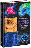 Эволюция человека. В 2-х книгах. Книга 2. Обезьяны, нейроны и душа