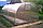 Теплица с поликарбонатом комплект. Агросила (4х3х2м) шаг дуг 67 см  толщина поликарбоната 4мм, фото 5