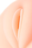 Мастурбатор реалистичный вагина с двойным слоем Kokos Sandara, телесный, 20 см, фото 3