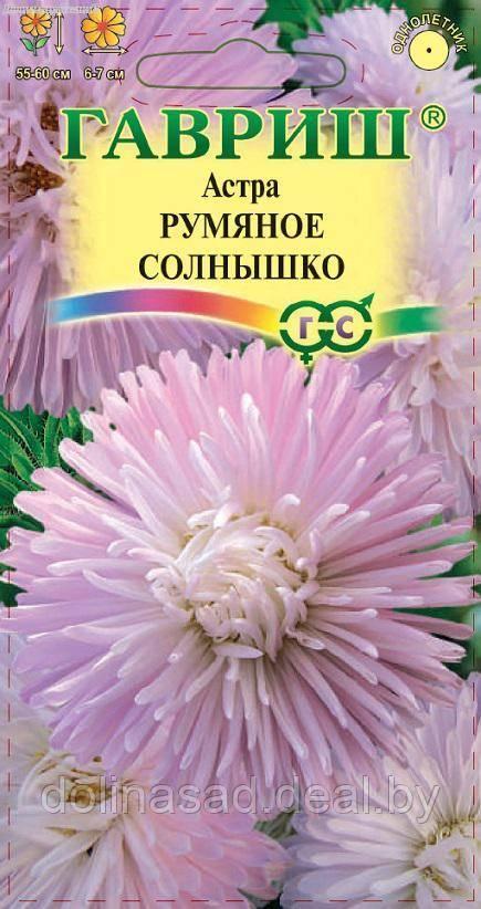 Гавриш Астра Румяное солнышко, однолетняя (нежно-роз.) 0,3 г (Воронеж) DH - фото 1 - id-p140432729