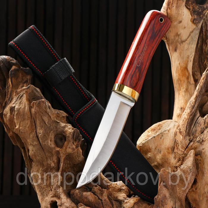 Нож охотничий, клинок 13 см - фото 1 - id-p188010833