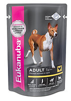 Влажный корм для собак Eukanuba Adult All Breed (курица в соусе) 100 гр