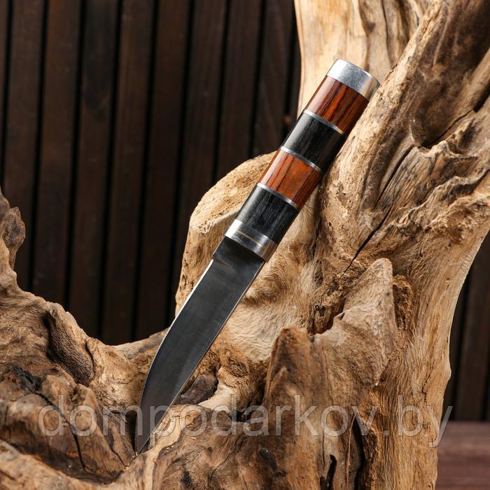 Нож охотничий "Бродди", 16 см, клинок 8 см - фото 3 - id-p188015514