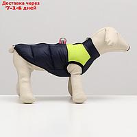 Куртка для собак на молнии, размер 16 (ДС 36 см, ОГ 46 см, ОШ 35 см),синяя с жёлтым