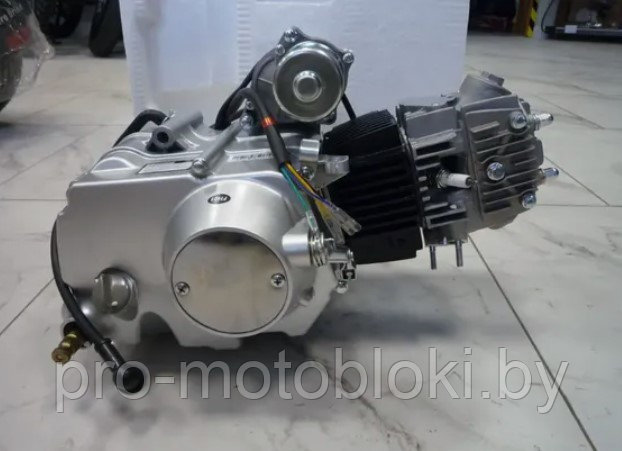 Двигатель для мопеда 1P52FMH мм3 AXL 003-00 - фото 6 - id-p169702108