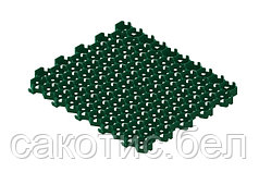 Геопарковка 544x336x34 мм мм (Зеленый)