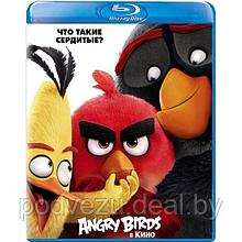 Angry Birds в кино (2016) (BLU RAY Видео-фильм)