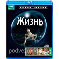 BBC: Жизнь часть 2 (BLU RAY Видео-фильм)