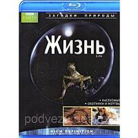 BBC: Жизнь часть 3 (BLU RAY Видео-фильм)