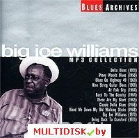 Big Joe Williams. Blues Archives. MP3 Collection (mp3)