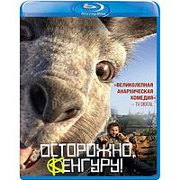 Осторожно, Кенгуру! (2020) (BLU RAY Видео-фильм)