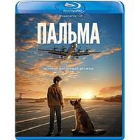 Пальма (2021) (BLU RAY Видео-фильм)