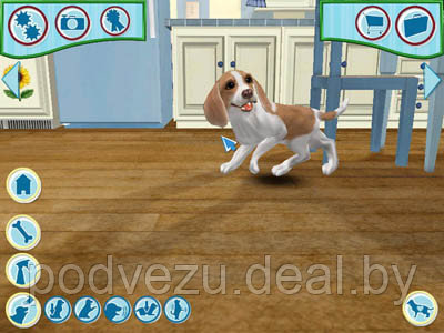 Dogz 6 Лицензия! (PC) - фото 7 - id-p22351878