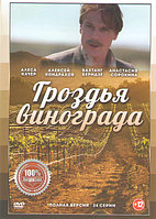 Гроздья винограда (24 серии) (DVD)