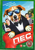 Пес под прикрытием (Агент Тоби Баркс) (DVD)