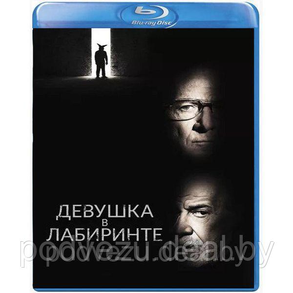 Девушка в лабиринте (2019) (BLU RAY Видео-фильм) - фото 1 - id-p136247532