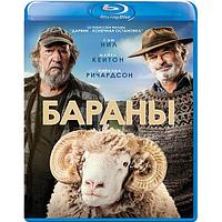 Бараны (2020) (BLU RAY Видео-фильм)