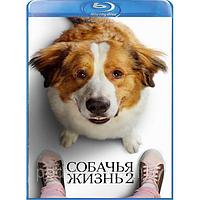 Собачья жизнь 2 (2019) (BLU RAY Видео-фильм)