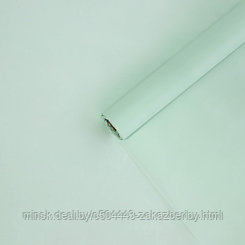 Пленка тишью влагостойкая «Мята», 0.6 x 8 м, 30мкм