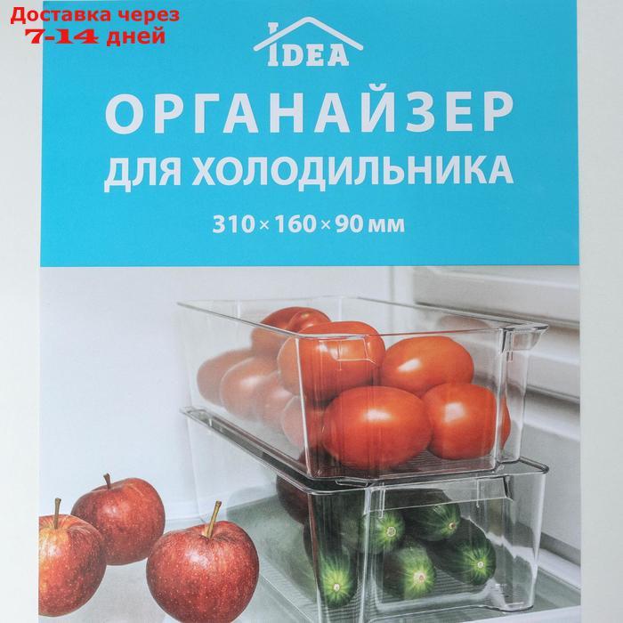 Органайзер для холодильника, 31×16×9 см, цвет прозрачный - фото 3 - id-p188237614