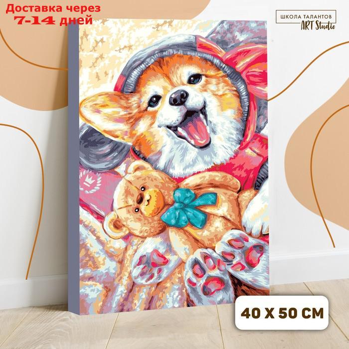 Картина по номерам на холсте 40×50 см "Корги с игрушкой" - фото 1 - id-p188233690