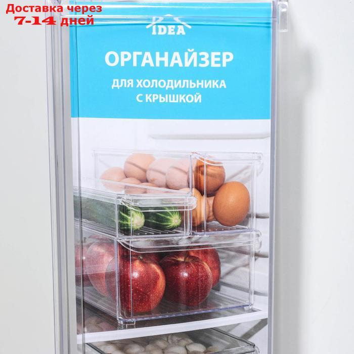Органайзер для холодильника с крышкой IDEA, 20×30×10 см, цвет прозрачный - фото 5 - id-p188237762