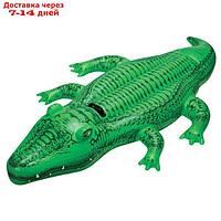 Игрушка для плавания "Крокодил", 168 х 86 см, от 3 лет, 58546NP INTEX