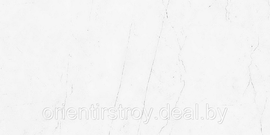 Vision - фото 1 - id-p188306356