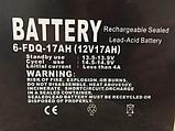 Аккумуляторная батарея 6-FDQ (12V17AH), фото 2