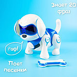 Робот-собака «Чаппи», русское озвучивание, световые и звуковые эффекты, цвет синий, фото 7