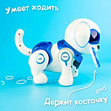 Робот-собака «Чаппи», русское озвучивание, световые и звуковые эффекты, цвет синий, фото 9